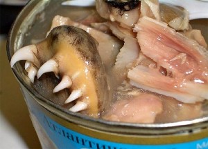 Canned Russian Herring