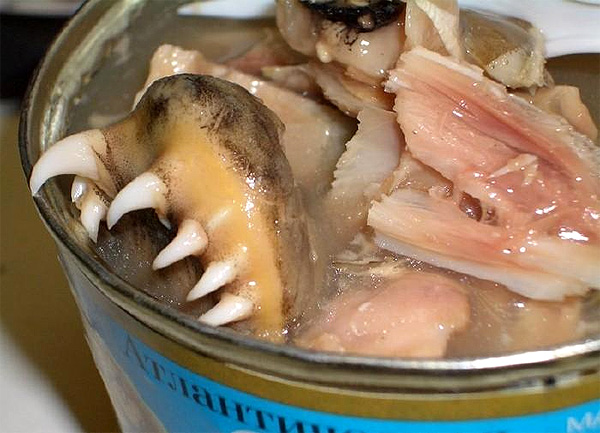 Canned Russian Herring