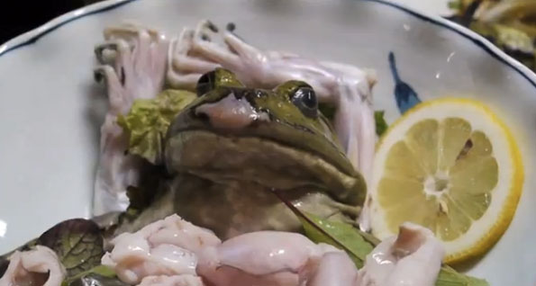 Frog Sashimi (Japan)
