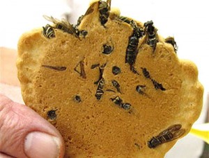 japanese wasp rice cracker