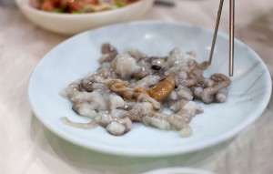 Sannakji Live Octopus