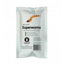 Edible Superworms - Zophobas Morio