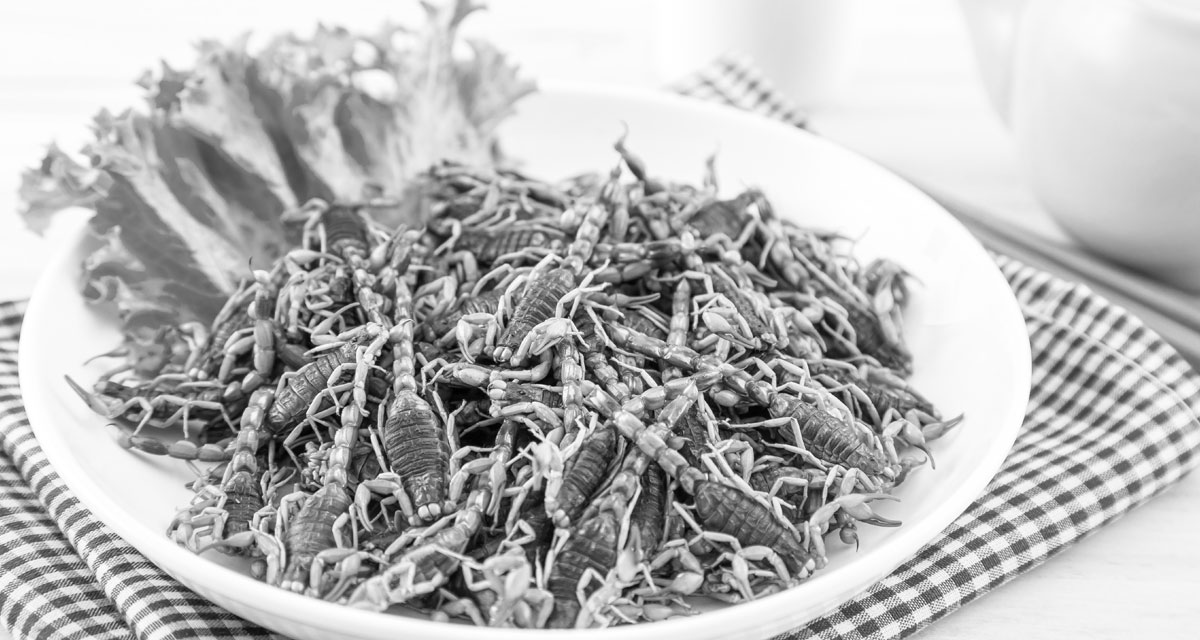 Bizarre foods and edible scorpions