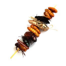 BBQ Flavour 4 Bug Kebab