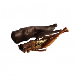 Dark Chocolate Grasshoppers