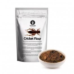 Cricket Powder 100g Brachytrupes portentosus