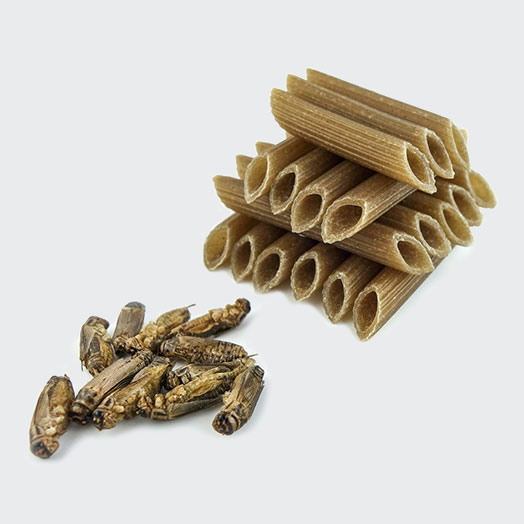 Cricket Pasta - Gluten Free!