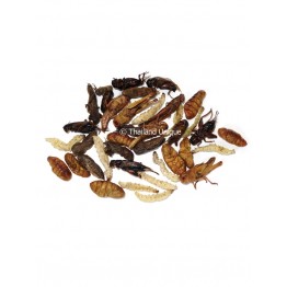 Mixed Edible Insects 15g