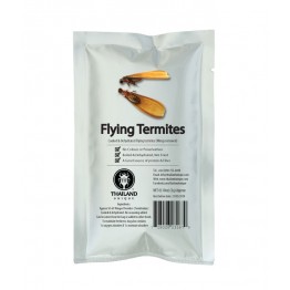 Edible dehydrated Termite Alates