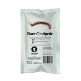 Edible Giant Centipede