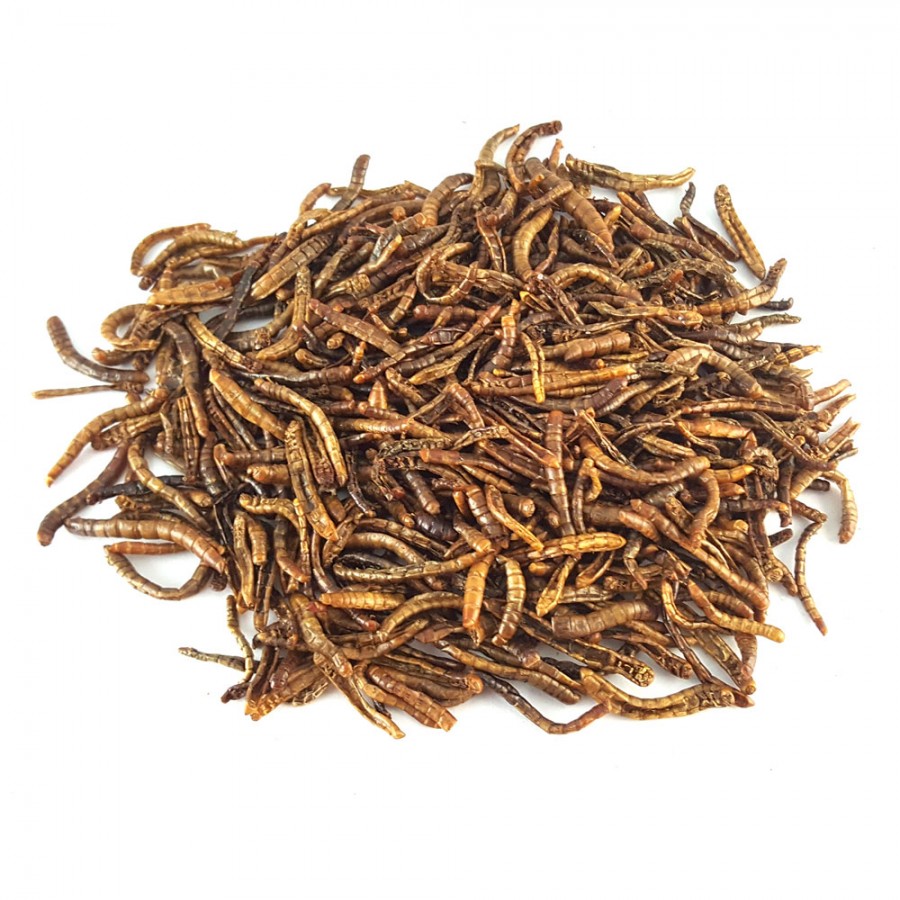 Dehydrated Mealworms