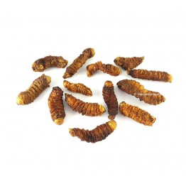 Dried Mopane Worms
