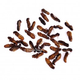 Dehydrated Termite Alates 500g