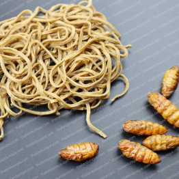 Silkworm Pupae Ramen Noodles