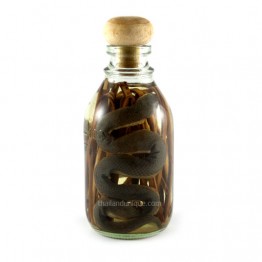 Miniature Snake Whiskey Infusion