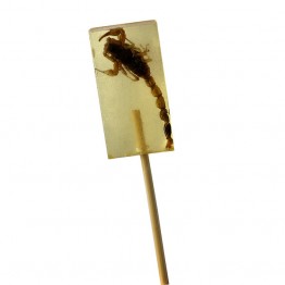 Chinese Yellow Scorpion Candy Lolly
