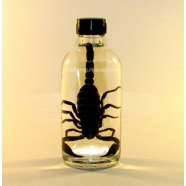 Scorpion Vodka with Banana